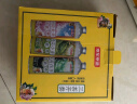 京东京造桃韵龙井毛尖小麦茉莉花茶精酿啤酒春日出游1L*3整箱三种口味 实拍图
