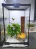 Barbarous Growth玻璃爬缸蜥蜴蛇甲虫乌龟陆龟爬宠爬虫角蛙饲养箱盒专用缸爬宠饲养 BT-03(20*20*30)【磁吸不跑蛇】 实拍图