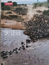 美丽的地球.大迁徙 地球上最伟大的生命旅程（科普图书  动物迁徙  中国国家地理） 实拍图