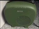 先锋暖风机取暖器电暖气电暖器电暖风电吹风吹风机热风机台式桌面家用办公伴侣DNF-N3G 实拍图