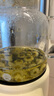 APIXINTL日本安本素养生壶家用迷你养生杯 煮茶器 煮茶壶烧水壶电热水壶办公室全玻璃多功能全自动花茶壶 【花茶壶-轻奢高颜】-触屏款 1.2L 实拍图