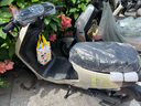 小牛电动【门店自提】MT小牛电动自行车 智能长续航 新国标电动车 代步车 48V24AH 到店选色 实拍图