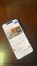 Apple/苹果 iPhone 16 Plus（A3291）128GB 群青色 支持移动联通电信5G 双卡双待手机 实拍图