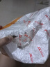 【⭐全网爆款】釉下彩可爱猪卡通碗碟套装家用釉下彩陶瓷碗盘餐具 可爱猪1碗1勺 实拍图
