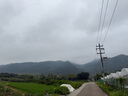华祥苑乌龙茶 武夷岩茶大红袍半岩花香特级128g中火盒装口粮茶 实拍图