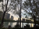 格琳诺尔 石磨莜面粉5斤 内蒙古特产莜麦面粉 莜面鱼鱼燕麦粗粮面粉 实拍图