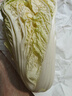 【超市品质】新鲜精品娃娃菜现砍现发小包装新鲜蔬菜生鲜产地直发 新鲜娃娃菜1*(3棵)*1包 实拍图