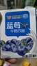 风行蓝莓风味牛奶饮品200ml*12盒*2箱 牛奶礼盒装 送礼佳品 实拍图