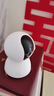 兰漫者高速内存卡TF适用手机大疆无人机pocket3运动相机switch行车记录仪监控摄像头V30存储卡U3/A2 SD卡 32G（读100MB/s）送2.0读卡器 热卖款 实拍图