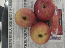 司道和山正宗山东烟台红富士苹果新鲜水果4.5斤当季整箱圣诞平安果栖霞 80-85MM【大果】 净重8.5斤 实拍图