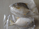 环球水产 南海金鲳鱼700g 2条 BAP认证深海鱼 冷冻 生鲜鱼类海鲜 家庭聚餐 实拍图
