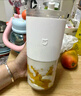 米家小米榨汁杯2 电动榨汁机果汁机搅拌杯儿童婴儿辅食机小型便携家用多功能自动清洗 304不锈钢可碎冰 实拍图