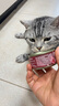 京东京造 浓汤红肉猫罐头金枪鱼口味85克*24罐 猫零食湿粮补水鱼肉罐 实拍图