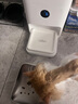 米家宠物喂食器2 小米自动狗狗猫咪定量定时喂食器 猫咪自动投食机 实拍图