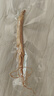 仟农仟滋人参整枝/1支长白山干参东北特产生晒白参煲汤泡酒 实拍图