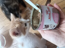 皇家幼猫奶糕猫粮  离乳期孕猫BK34 通用粮 增强免疫亲肠胃助消化 【1-4月与孕期】BK34礼盒1595g 实拍图