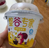卫岗 【冷运】整谷专家 谷物脆搅拌酸奶杯低温谷物酸奶风味 原味谷物脆150g*6杯 实拍图