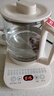半球（PESKOE）养生壶 煮茶器 多功能烧水壶 智能恒温电热水壶 电水壶煮茶壶 多段保温迷你玻璃花茶壶 基础款 1.8L 实拍图