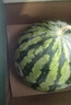 南汇 8424西瓜1粒装（单果3kg+） 实拍图