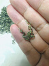 乐品乐茶碧螺春绿茶2025新茶明前特级春茶嫩芽茶叶冷泡茶解暑250g送礼品袋 实拍图