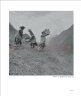中国国家地理：羌在深谷高山 晒单实拍图