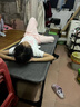 全品屋午休折叠床单人床办公室午睡床简易床医院陪护床家用折叠床 【京速达】升级海绵款-宽60cm 加宽加粗方管 实拍图