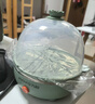 九阳（Joyoung）煮蛋器多功能智能蒸蛋器7个蛋量 ZD7-GE130（飞泉绿） 实拍图