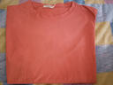 2026年新款夏装纯棉短袖t恤韩系宽松圆领休闲薄款大码上衣体恤衫 砖红【纯色】 L 【建议80-100斤】 实拍图
