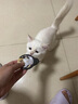 希宝（Sheba）小魔勺幼年期成年期猫宠物零食含香嫩鸡肉鲣鱼巴丁鱼配方10g*32勺 实拍图