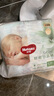 好奇（Huggies）心钻装小森林纸尿裤M50片(6-11kg)中号尿不湿透气夏季超薄 实拍图