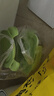 创得 耐热玻璃保鲜盒 微波炉烤箱饭盒上班族便当盒 圆650+长700ml+包 实拍图