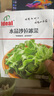 IDEAL理想农业 水晶沙拉冰菜种子四季盆栽农家蔬菜种籽水晶冰草菜种子 实拍图