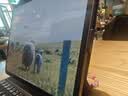 B.O.W航世HA354 2026新款妙控ipad无线键盘适用苹果平板air6保护套壳三档背光11寸悬浮触控无需蓝牙64键 实拍图