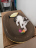 汪野君养猫新手套装猫砂盆铲喂食喂水器绒布猫窝猫砂用品组合基础四件套 实拍图