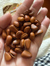 三只松鼠大颗粒手剥巴旦木500g 罐装坚果炒货干果扁核桃 零食送礼  实拍图