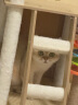 唐米吉吉加粗大型猫爬架猫窝猫树一体太空舱猫架子小户型不占地剑麻猫玩具 150cm 7层【双太空舱木屋款】 实拍图