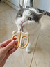HELLOJOY猫咪指甲剪专用小盲剪狗狗指甲钳小猫指甲钳圆孔新手防抓防咬 实拍图