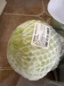 【高原夏菜】高原面包甘蓝500g 实拍图