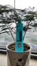 六神【防蚊喷雾】清新花香花露水180ml*1(蚊怕水 驱蚊液 舒缓 舒爽) 实拍图