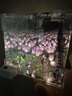【真五折】手工diy小夜灯郁金香花海材料立体魔法镜子情侣女友闺蜜生日礼物 颜色随机【20朵花海材料包】10*10镜片 实拍图