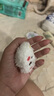 网红可爱毛绒饰品配件胸针少女背包挂饰批发毛绒钥匙扣 毛绒帽子熊【白色】 实拍图