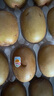 佳沛（zespri）新西兰  阳光金奇异果18粒超大果原箱单果重约173-204g 猕猴桃 实拍图