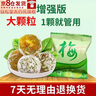 【送货上门】加强版酵素梅搭排便大果清肠排宿便孝秘素梅子青果 加强版一百个家庭装牛（0.34/颗） 实拍图