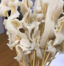 大庄园麻辣涮肚串 鲜切牛肚火锅1.1斤/袋（约26串 含火锅底料200g） 实拍图