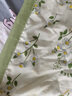 南极人夏季水洗棉麻空调被夏凉被大豆纤维被子夏被四件套可机洗春秋被芯 绿荫【亲肤水洗棉面料】 150x200cm【单夏被】 实拍图