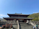 宝聚源 酱牛腱250g 休闲零食 平遥特产冷藏熟食小吃代餐 源头直发包邮 实拍图