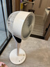 艾美特（AIRMATE）【白天鹅MAX】语音智能空气循环扇18档直流变频家用电风扇落地扇一级能效负离子净化 FA23-SRDI151 实拍图