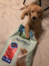 麦富迪狗粮 藻趣儿7.5kg 幼犬中大型小型犬通用（牛肉螺旋藻）金毛泰迪 实拍图