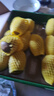 佳沛（zespri）新西兰 阳光金奇异果12粒礼盒特大果单果约122-146g 猕猴桃 水果 实拍图