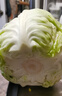 京鲜生 圆白菜青甘蓝2斤 简装 新鲜蔬菜 实拍图